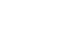 Batteries Plus Bulbs Black and White Logo